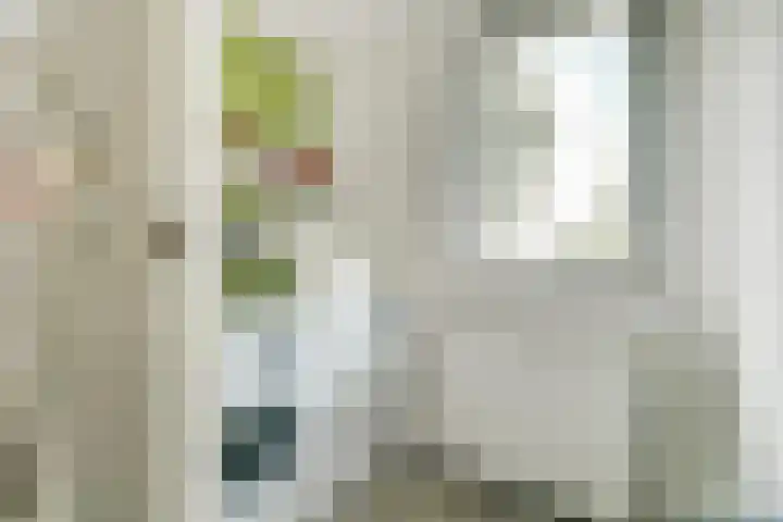 Bleijenburg 182 De Lier thumbnail 27