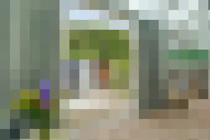 Bleijenburg 182 De Lier thumbnail 30