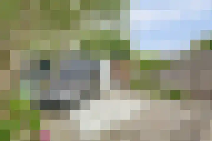 Bleijenburg 182 De Lier thumbnail 35