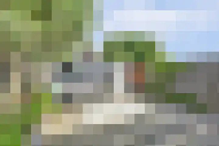 Bleijenburg 182 De Lier thumbnail 36
