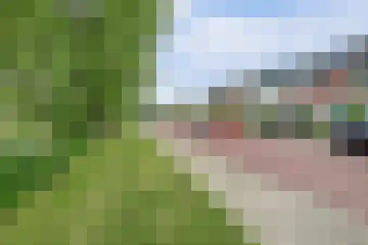 Bleijenburg 182 De Lier thumbnail 39