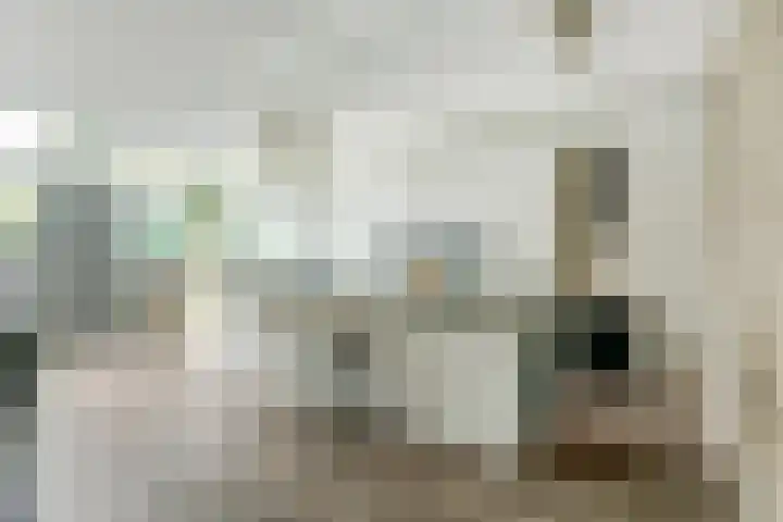 Bleijenburg 182 De Lier thumbnail 4