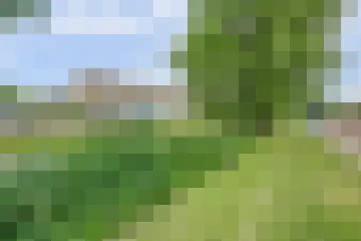 Bleijenburg 182 De Lier thumbnail 40
