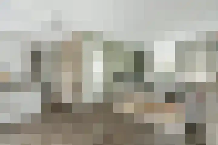 Bleijenburg 182 De Lier thumbnail 6
