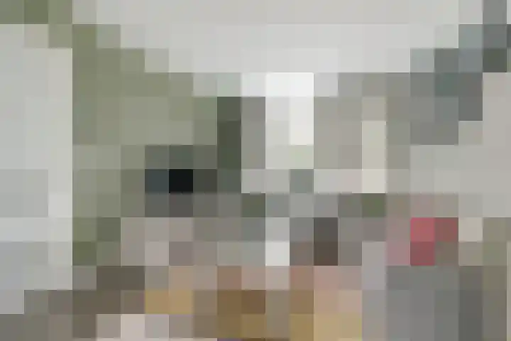 Bleijenburg 182 De Lier thumbnail 7
