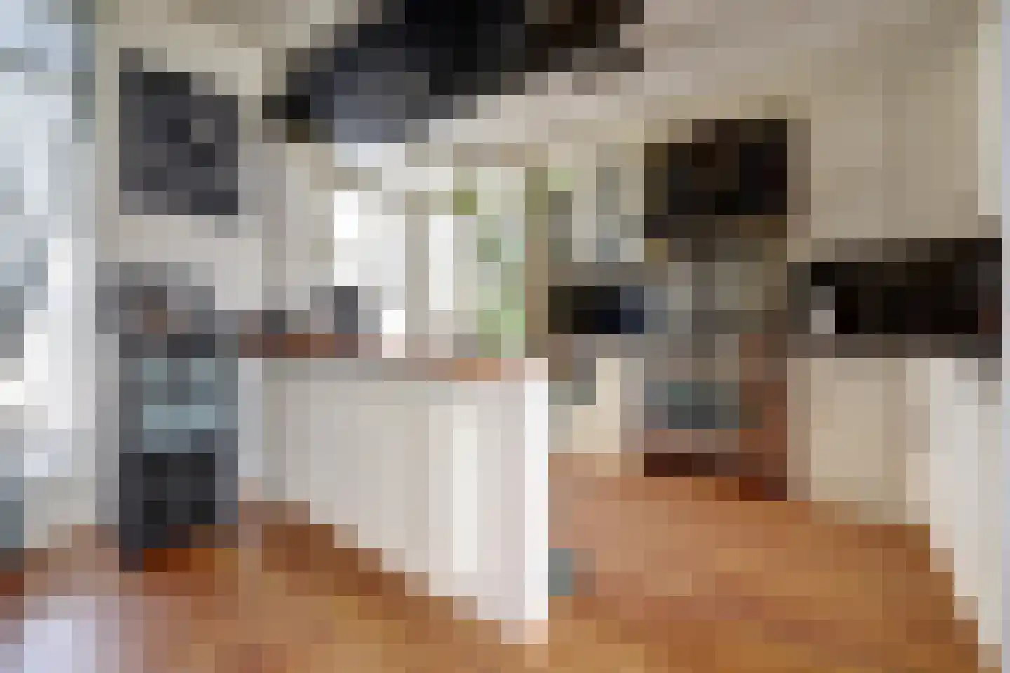 Bleijenburg 200 De Lier thumbnail 13