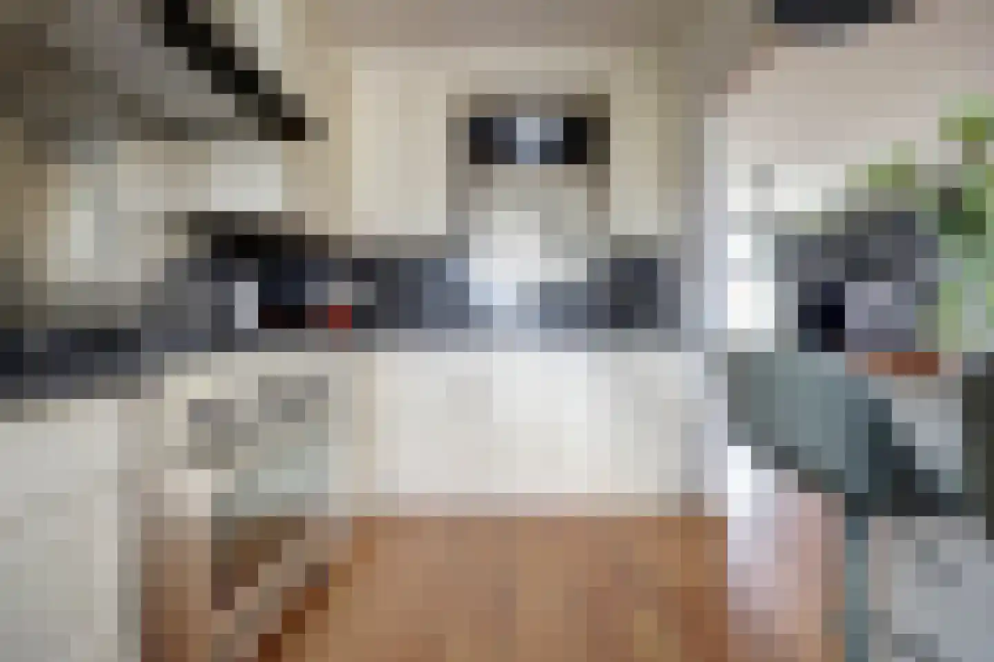 Bleijenburg 200 De Lier thumbnail 14