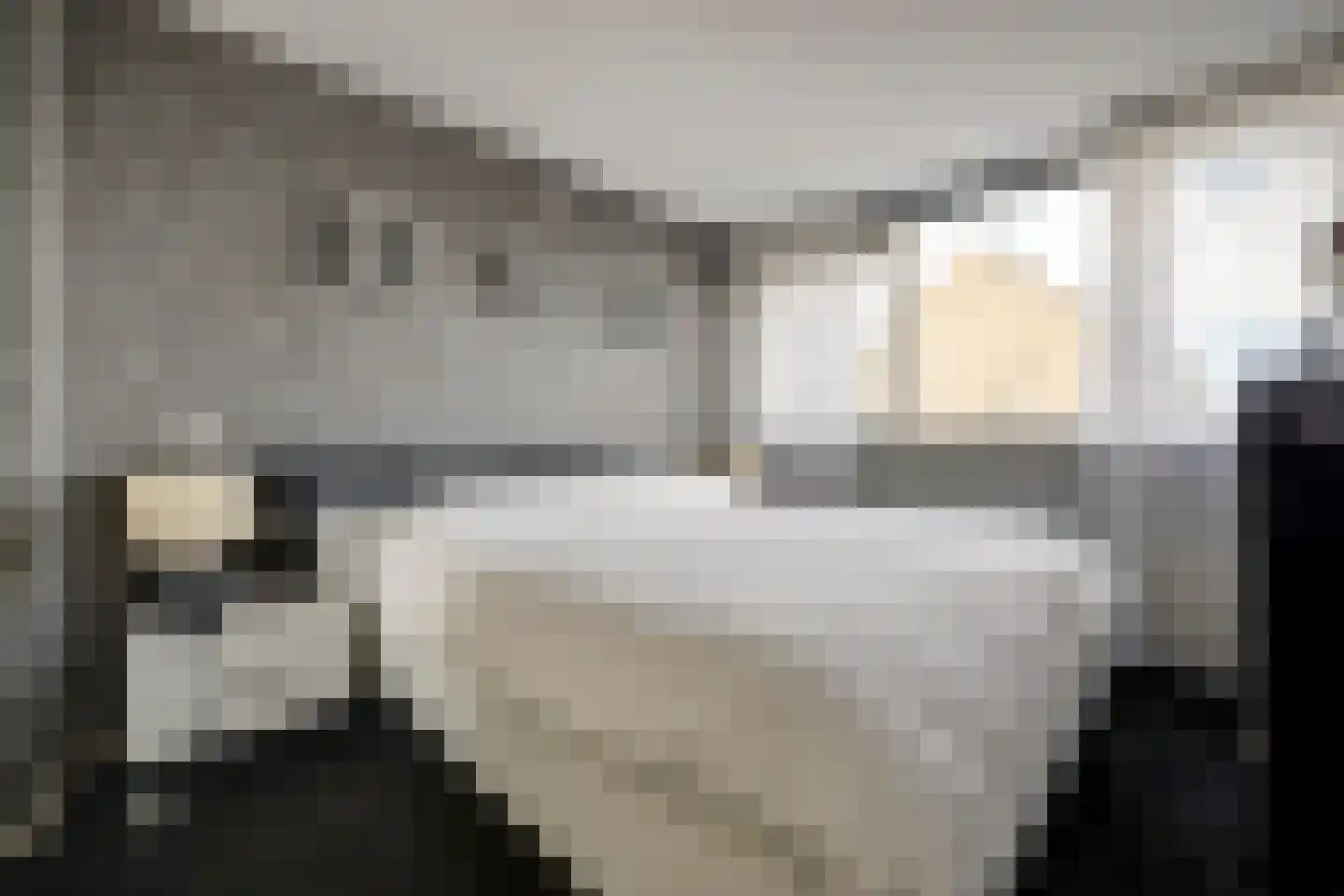 Bleijenburg 200 De Lier thumbnail 19