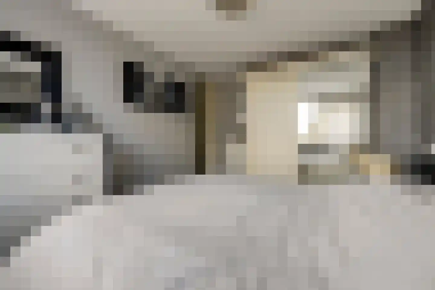 Bleijenburg 200 De Lier thumbnail 20