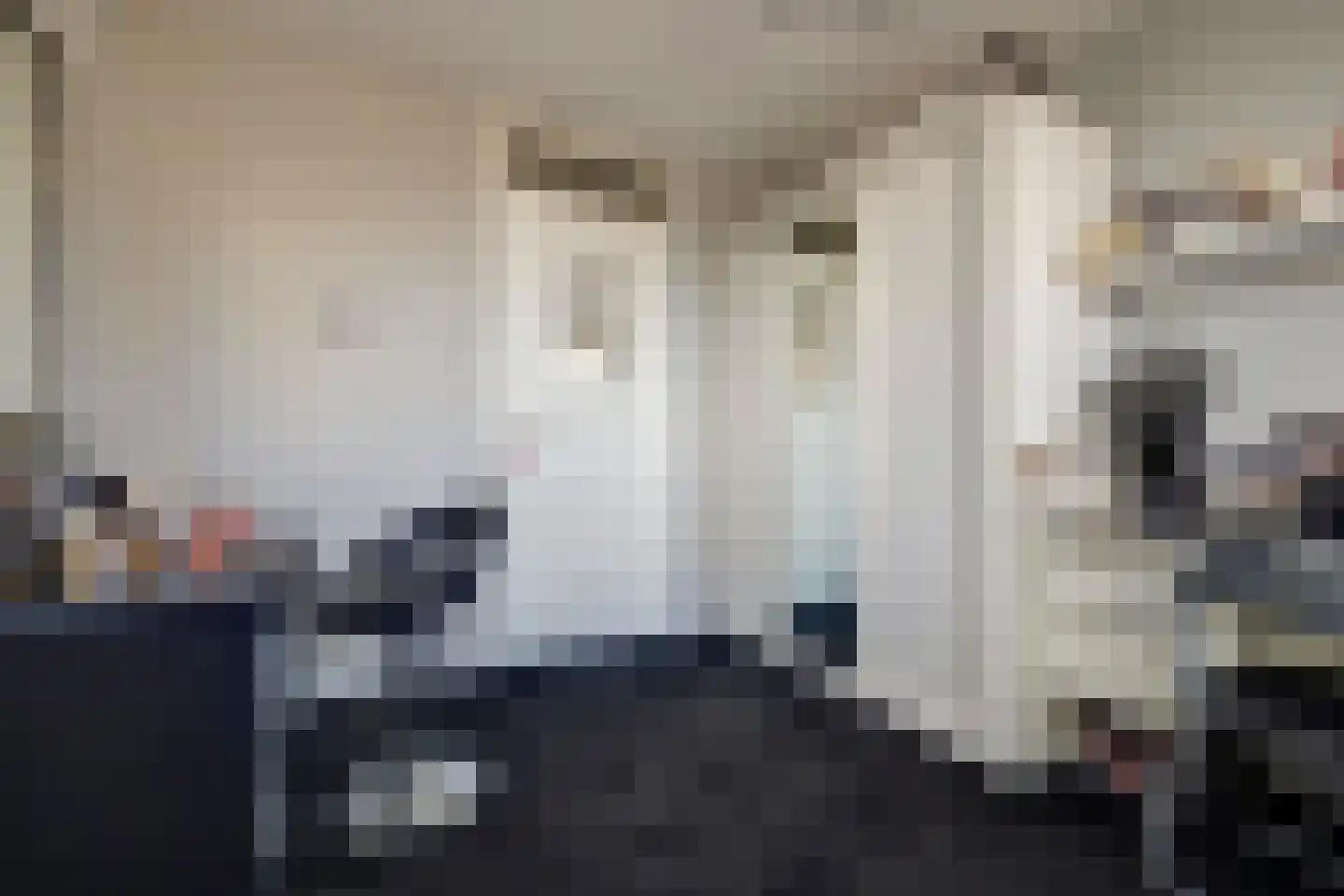Bleijenburg 200 De Lier thumbnail 21