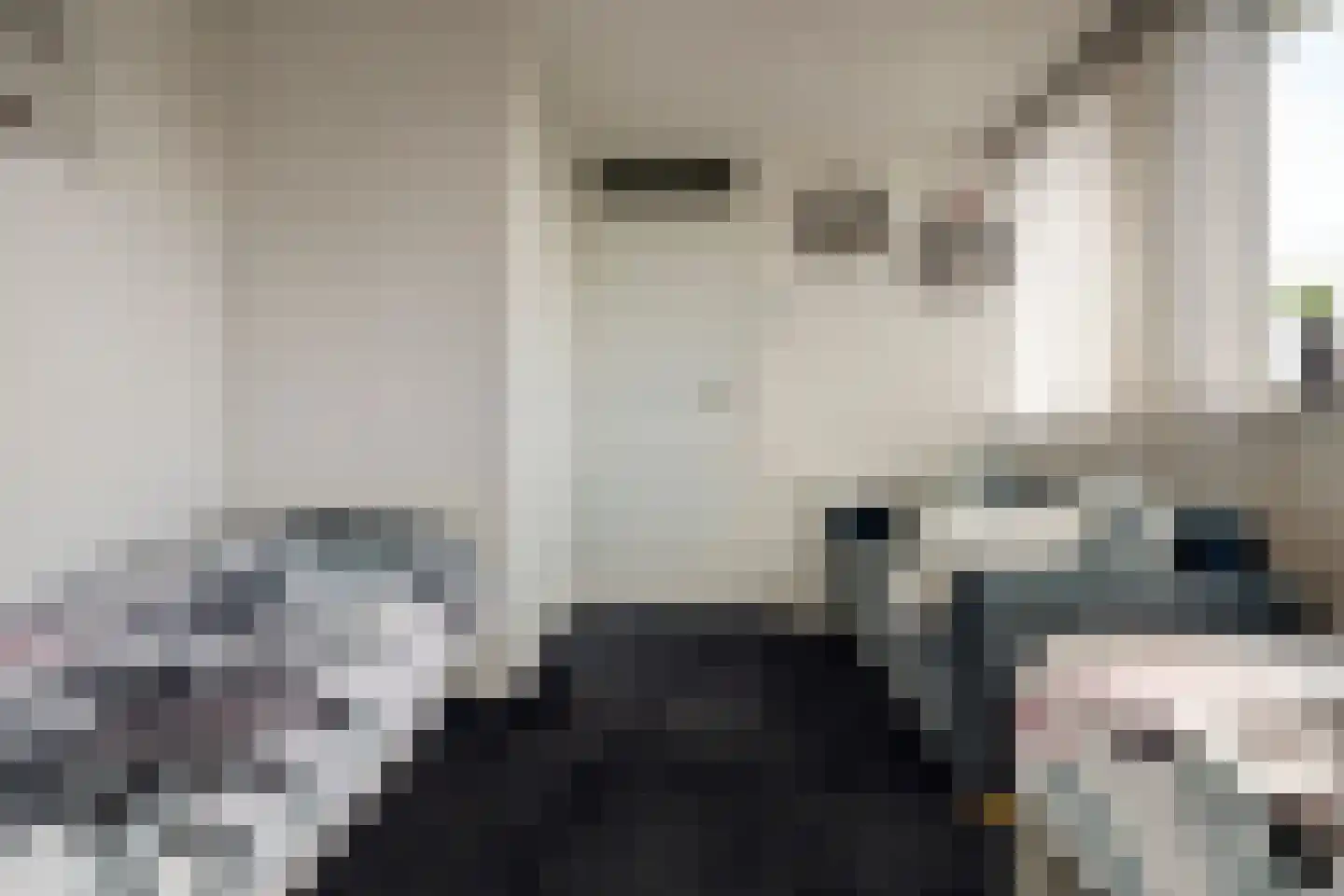 Bleijenburg 200 De Lier thumbnail 23