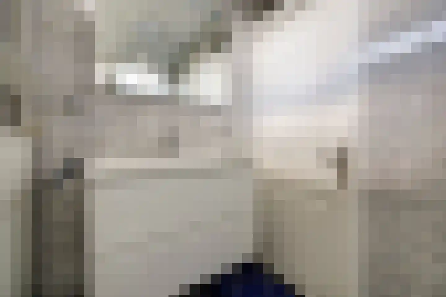 Bleijenburg 200 De Lier thumbnail 25