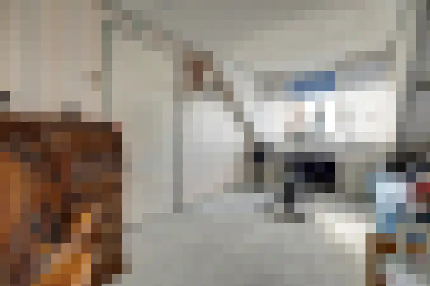 Bleijenburg 200 De Lier thumbnail 29