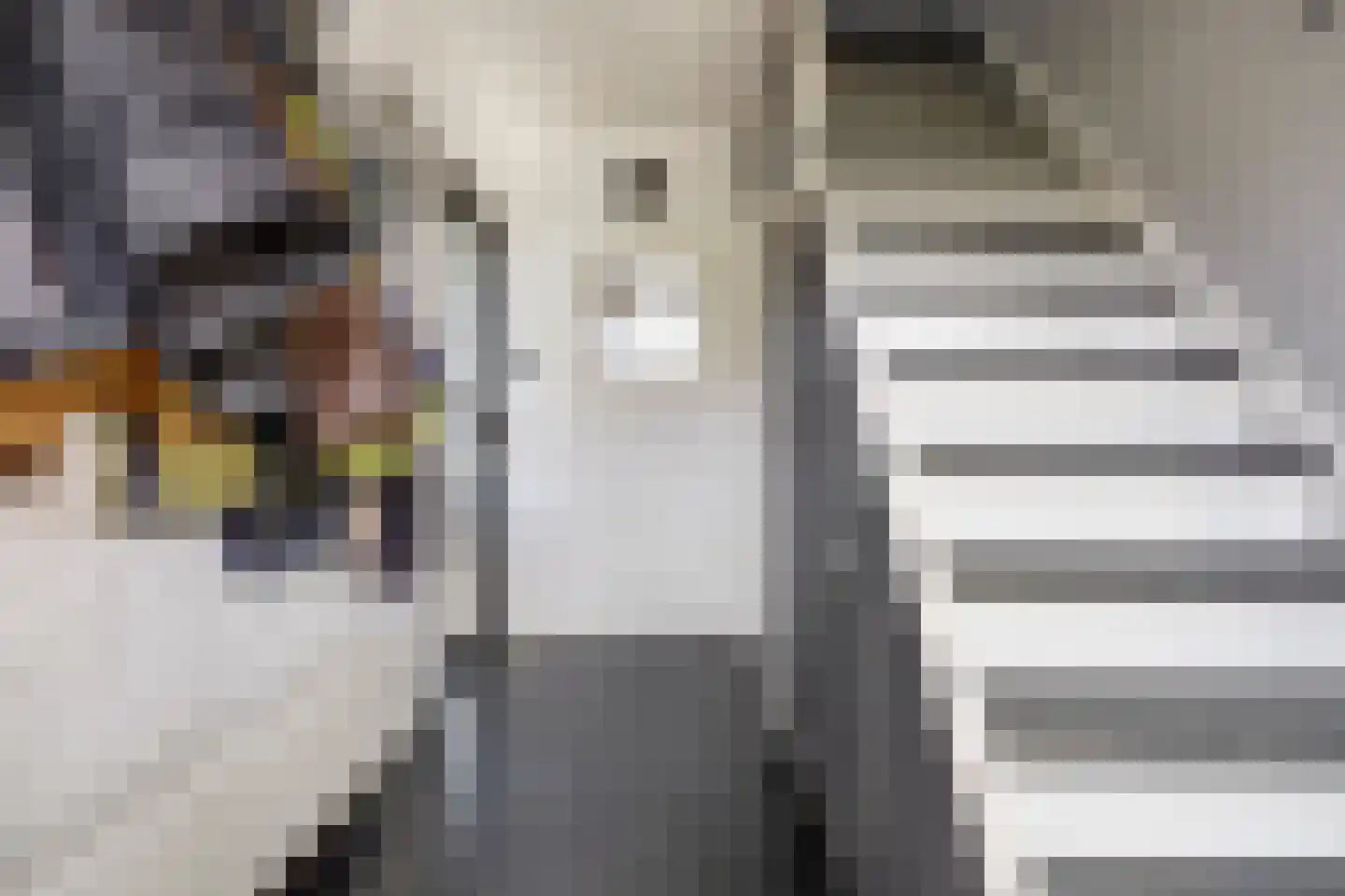 Bleijenburg 200 De Lier thumbnail 8