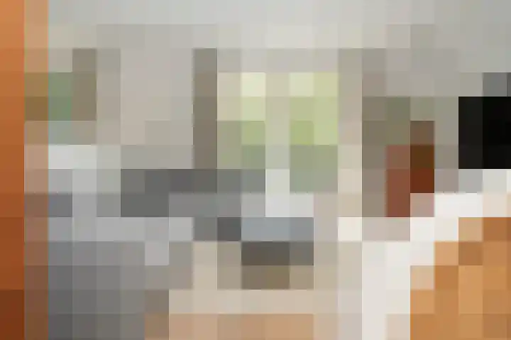 Bleijendaalseweg 5 Berlicum thumbnail 10