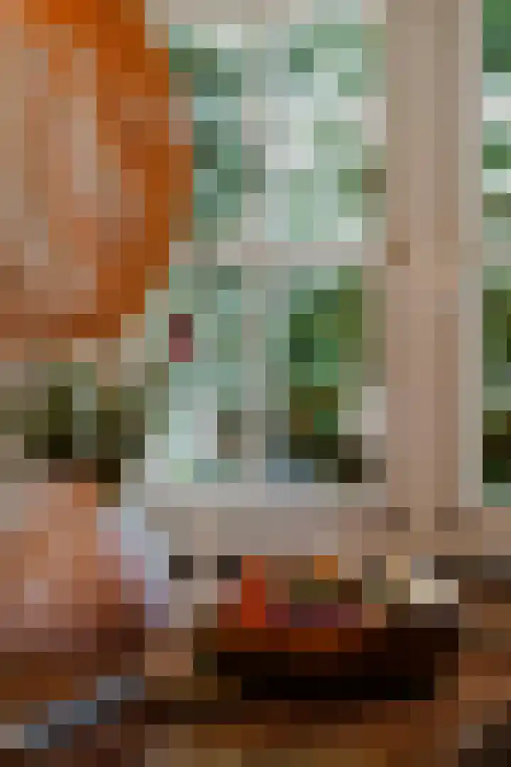 Bleijendaalseweg 5 Berlicum thumbnail 15