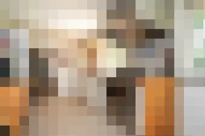 Bleijendaalseweg 5 Berlicum thumbnail 16