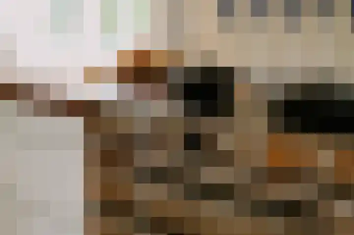 Bleijendaalseweg 5 Berlicum thumbnail 18