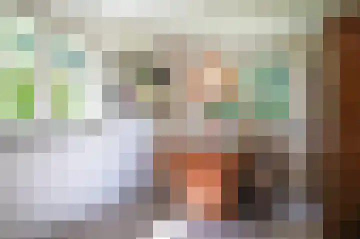 Bleijendaalseweg 5 Berlicum thumbnail 19