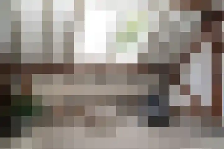 Bleijendaalseweg 5 Berlicum thumbnail 22