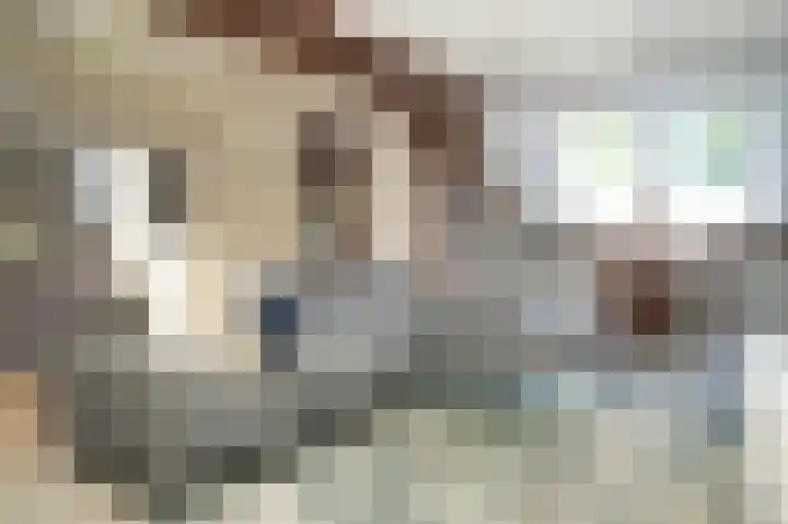 Bleijendaalseweg 5 Berlicum thumbnail 25