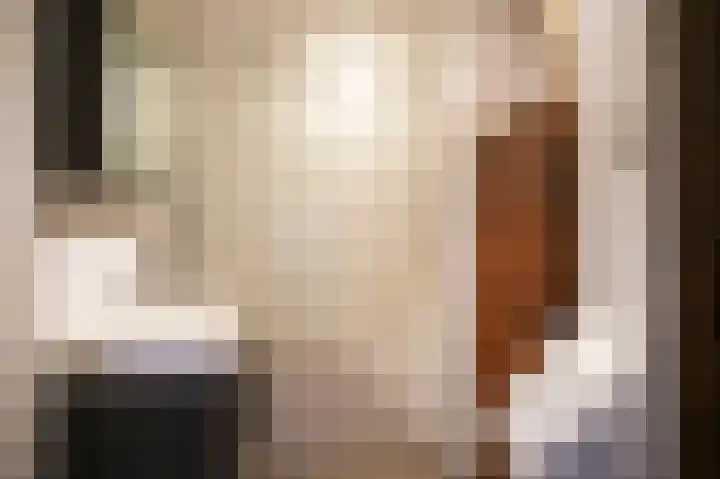 Bleijendaalseweg 5 Berlicum thumbnail 37