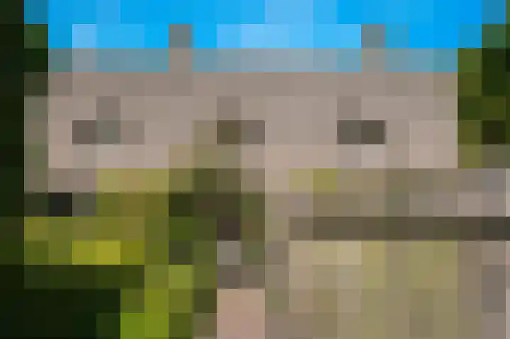 Bleijendaalseweg 5 Berlicum thumbnail 4