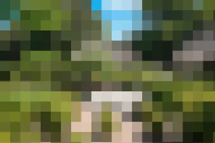 Bleijendaalseweg 5 Berlicum thumbnail 41