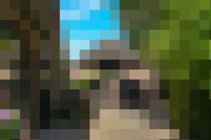 Bleijendaalseweg 5 Berlicum thumbnail 43