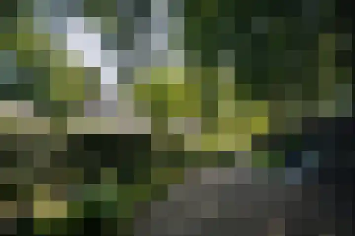 Bleijendaalseweg 5 Berlicum thumbnail 48