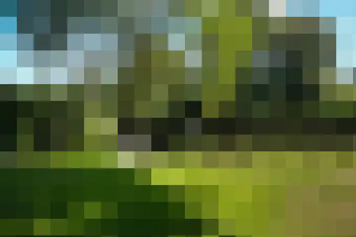 Bleijendaalseweg 5 Berlicum thumbnail 49