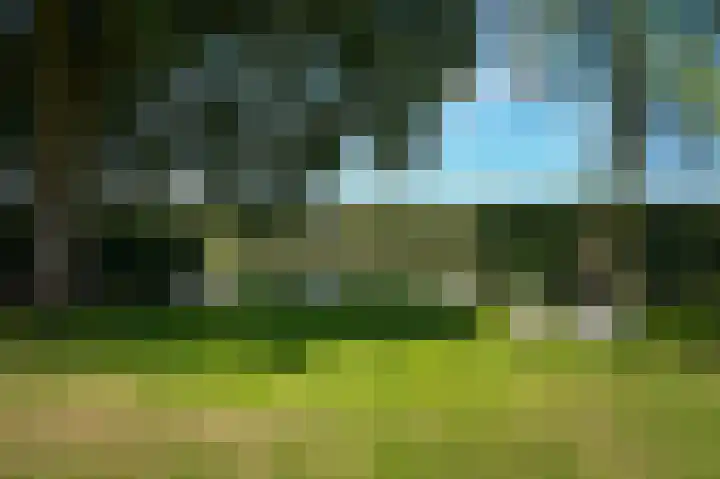 Bleijendaalseweg 5 Berlicum thumbnail 50