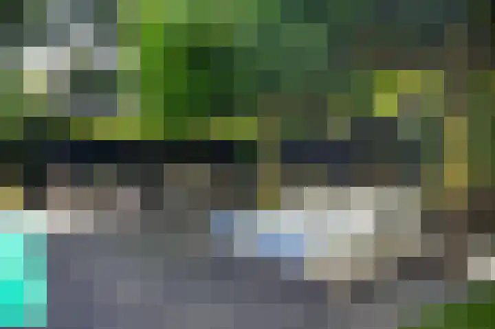 Bleijendaalseweg 5 Berlicum thumbnail 53