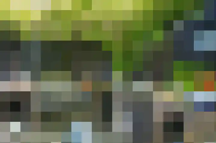 Bleijendaalseweg 5 Berlicum thumbnail 54