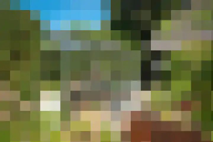 Bleijendaalseweg 5 Berlicum thumbnail 58