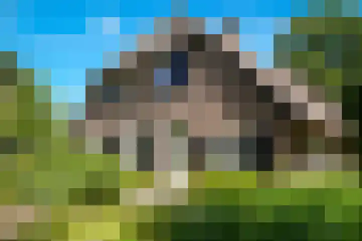 Bleijendaalseweg 5 Berlicum thumbnail 60