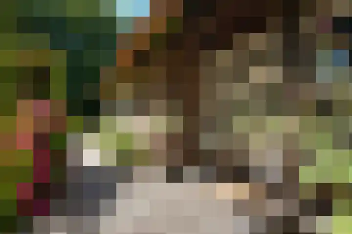 Bleijendaalseweg 5 Berlicum thumbnail 63