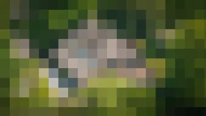 Bleijendaalseweg 5 Berlicum thumbnail 67
