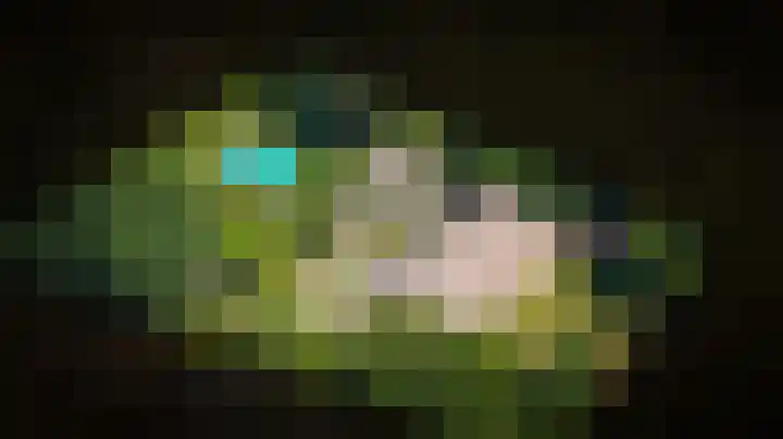 Bleijendaalseweg 5 Berlicum thumbnail 69