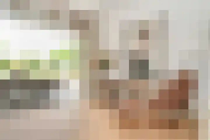 Bleijendaalseweg 5 Berlicum thumbnail 8
