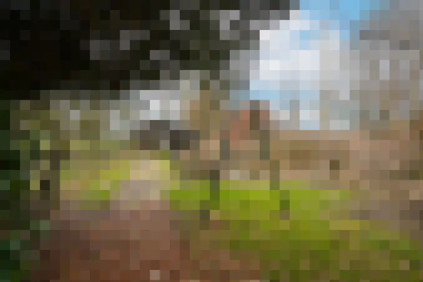 Bleijendaalseweg 9 Berlicum thumbnail 46