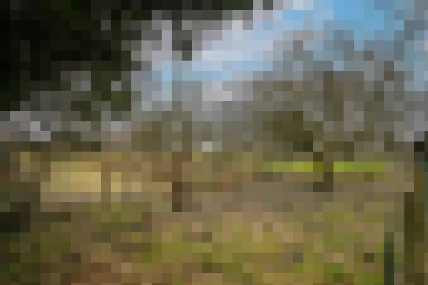 Bleijendaalseweg 9 Berlicum thumbnail 47