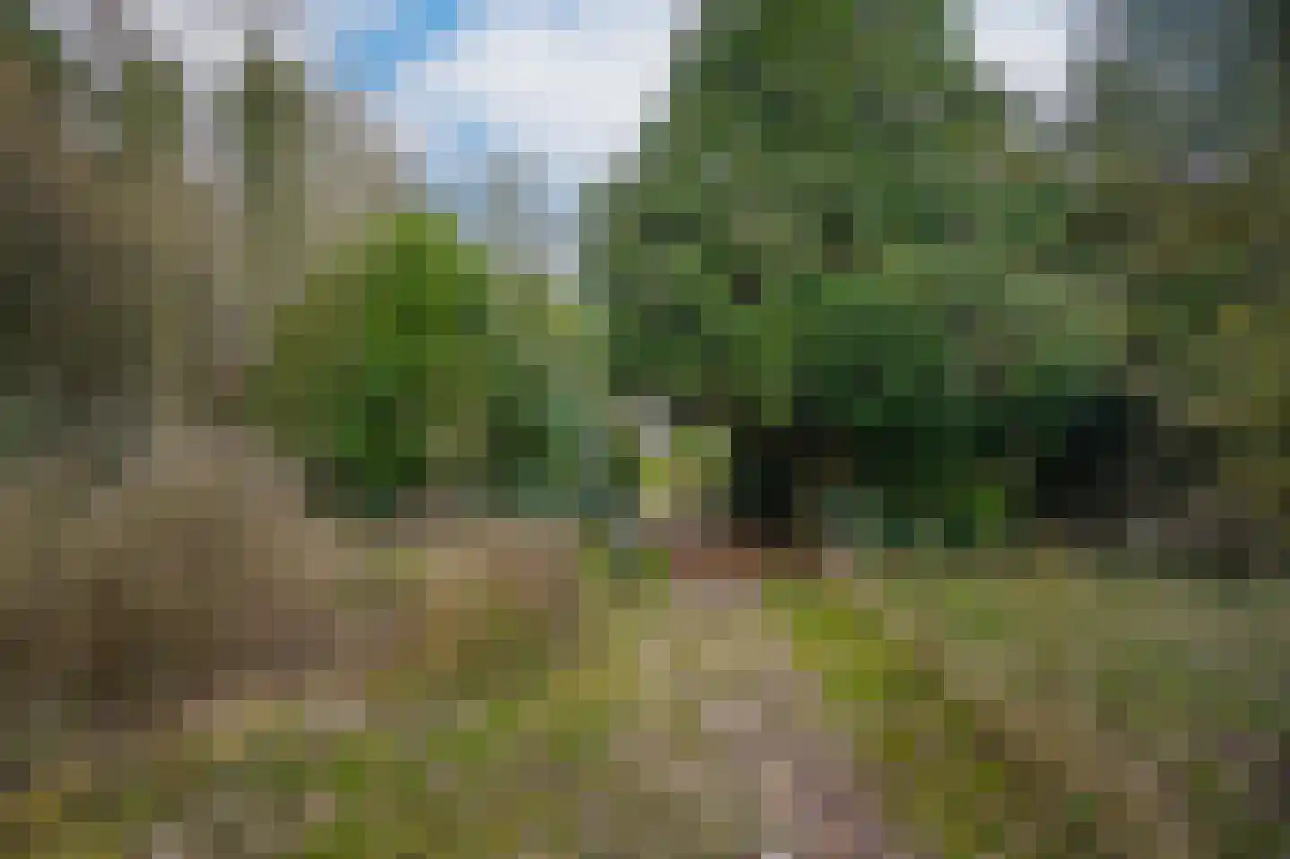 Bleijendaalseweg 9 Berlicum thumbnail 50