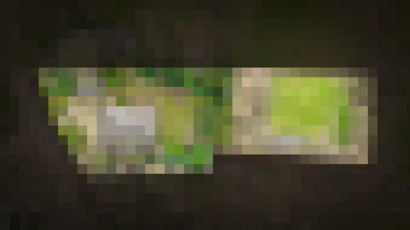 Bleijendaalseweg 9 Berlicum thumbnail 62