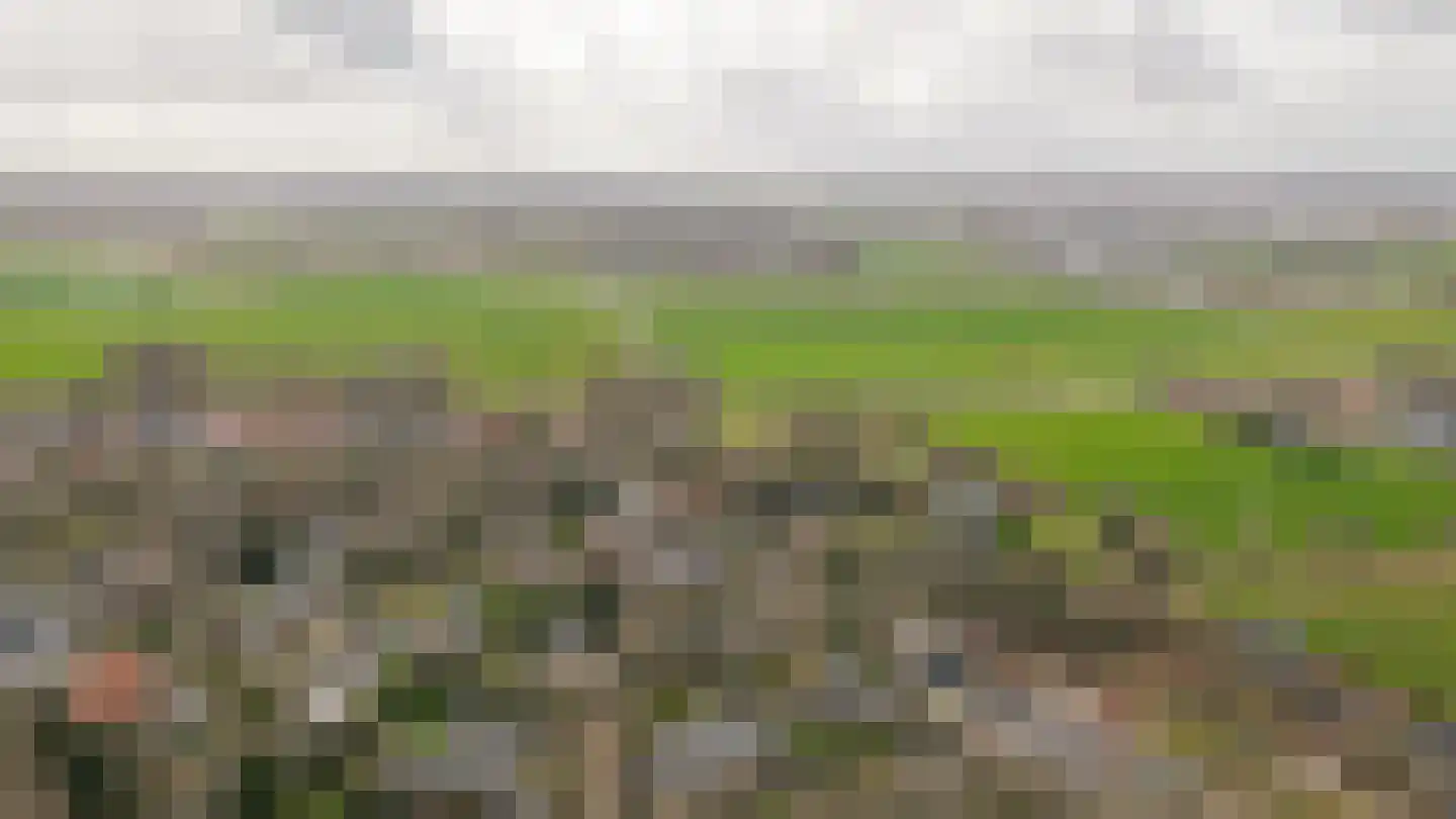 Bleijendaalseweg 9 Berlicum thumbnail 63
