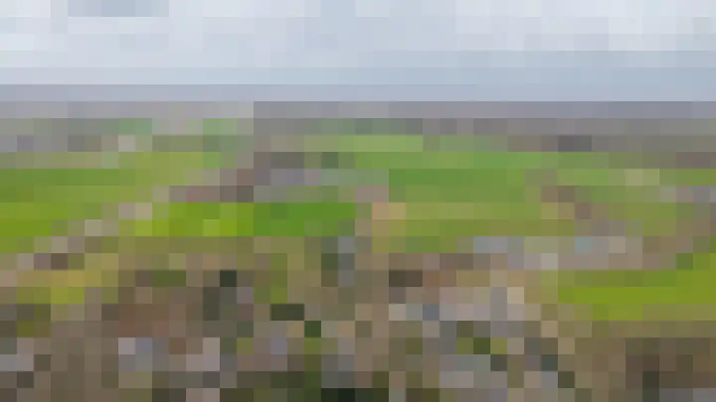 Bleijendaalseweg 9 Berlicum thumbnail 64