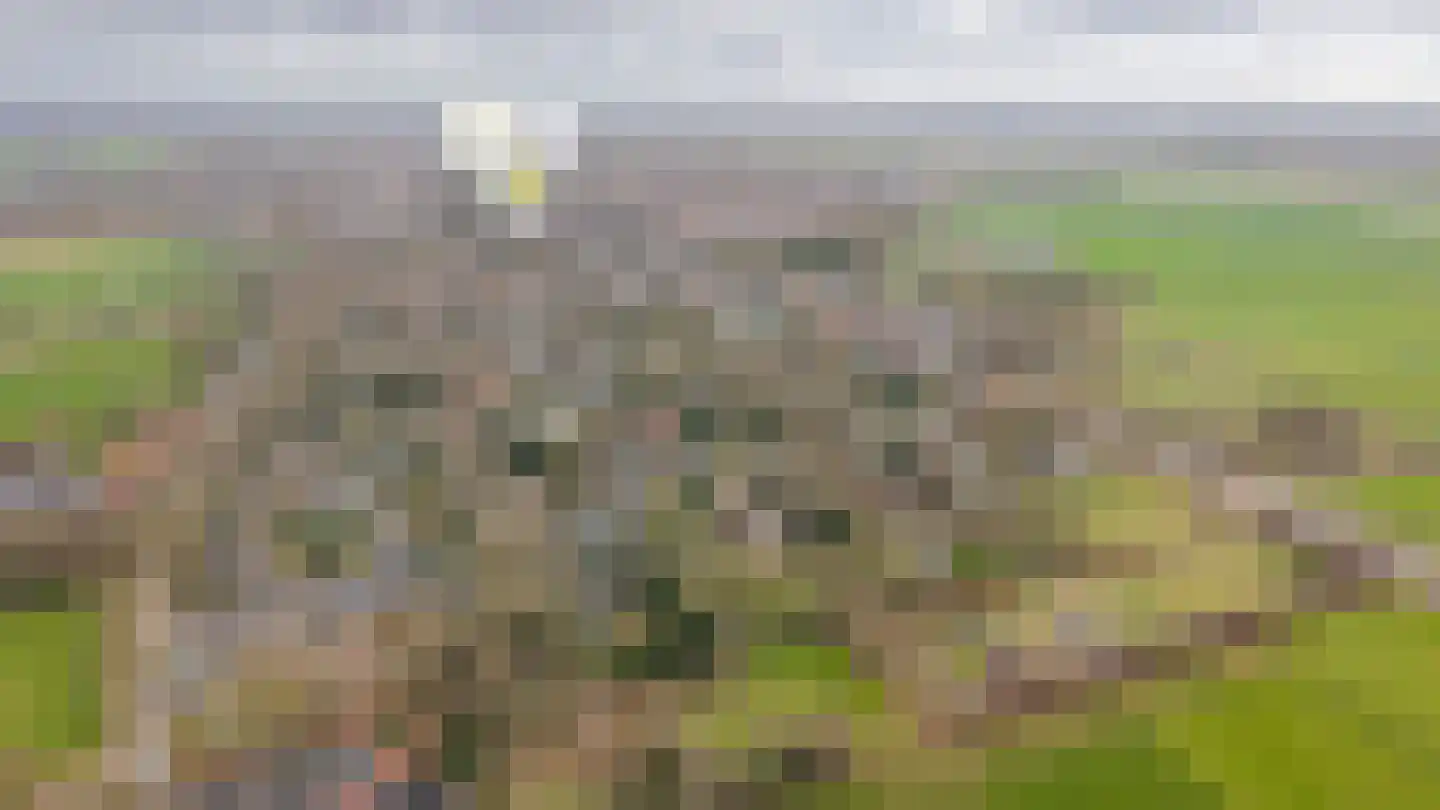Bleijendaalseweg 9 Berlicum thumbnail 65
