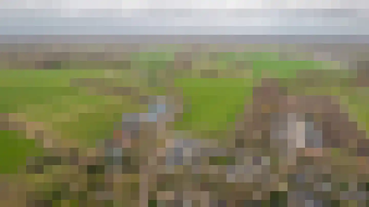 Bleijendaalseweg 9 Berlicum thumbnail 66