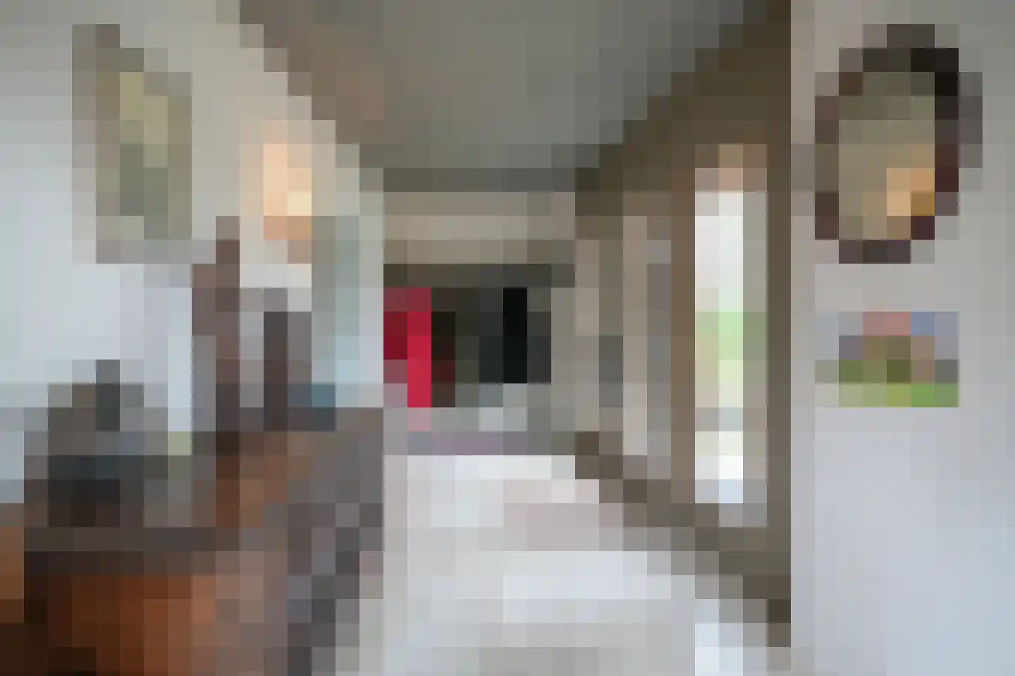 Bleijendaalseweg 9 Berlicum thumbnail 8