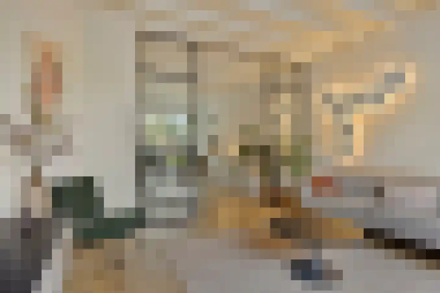 Bleijenhoek 10 Bladel thumbnail 13